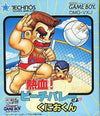 Hot -blooded beach volleyball Gameboy Color