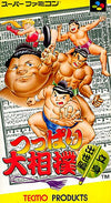 Great sumo wrestling / standing life Super Famicom